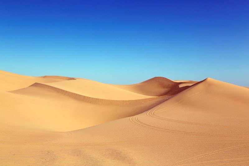 Desert Adventure